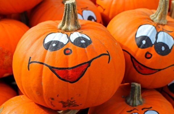pumpkins halloween early education zone
