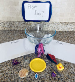 float or sink experiment early education zone
