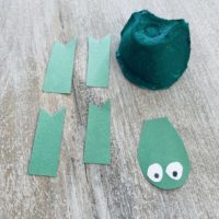 Egg carton tortoise craft