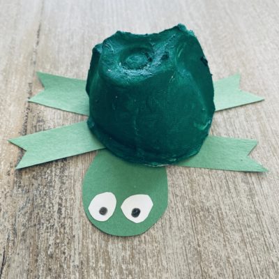 egg carton tortoise craft