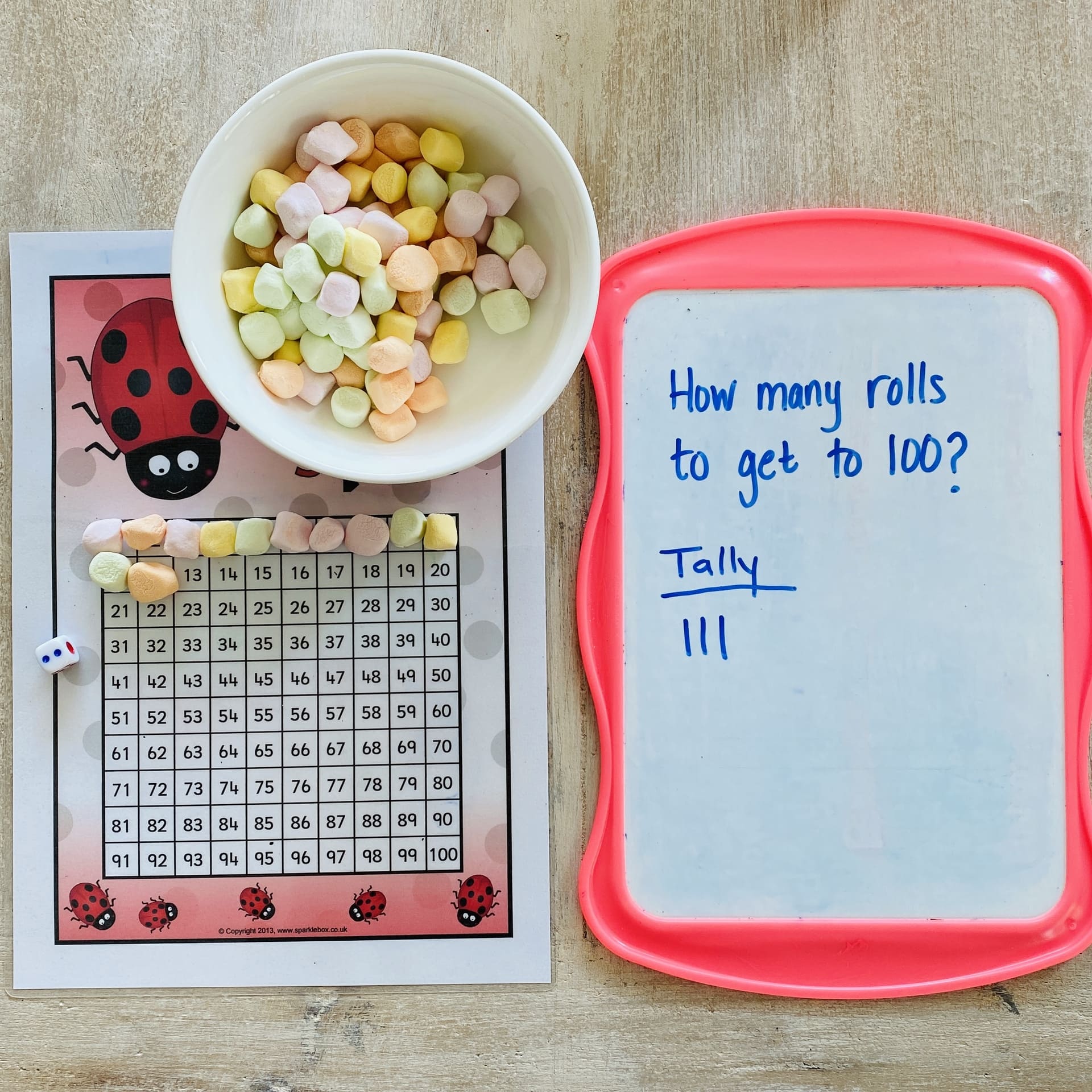 Marshmallow Counting to 100 maths activity idea
