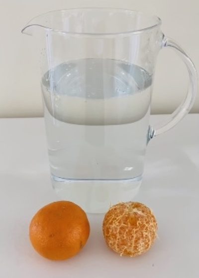 orange buoyancy science experiment