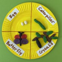 Butterfly Life Cycle Paper Plate - Early Education Zone