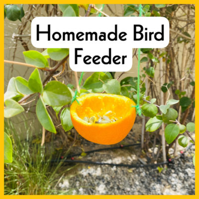 homemade orange bird feeder