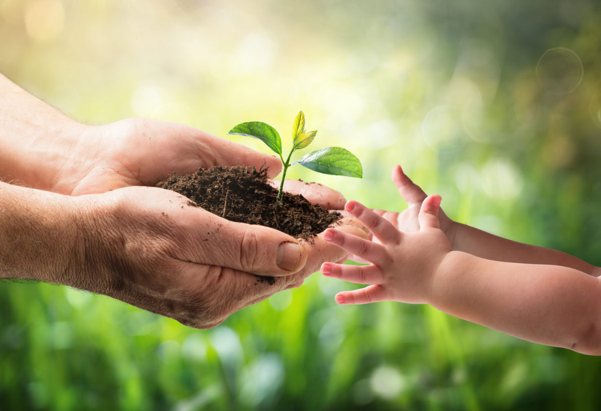 Old,Man,Giving,Young,Plant,To,A,Child,-,Environment