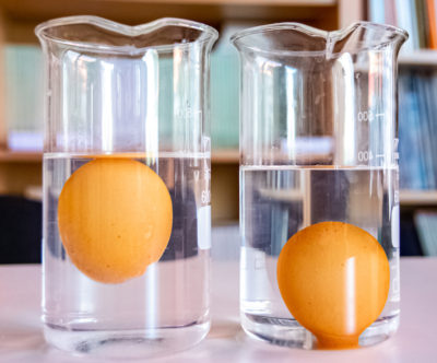 egg sink or float water density easy science experiment